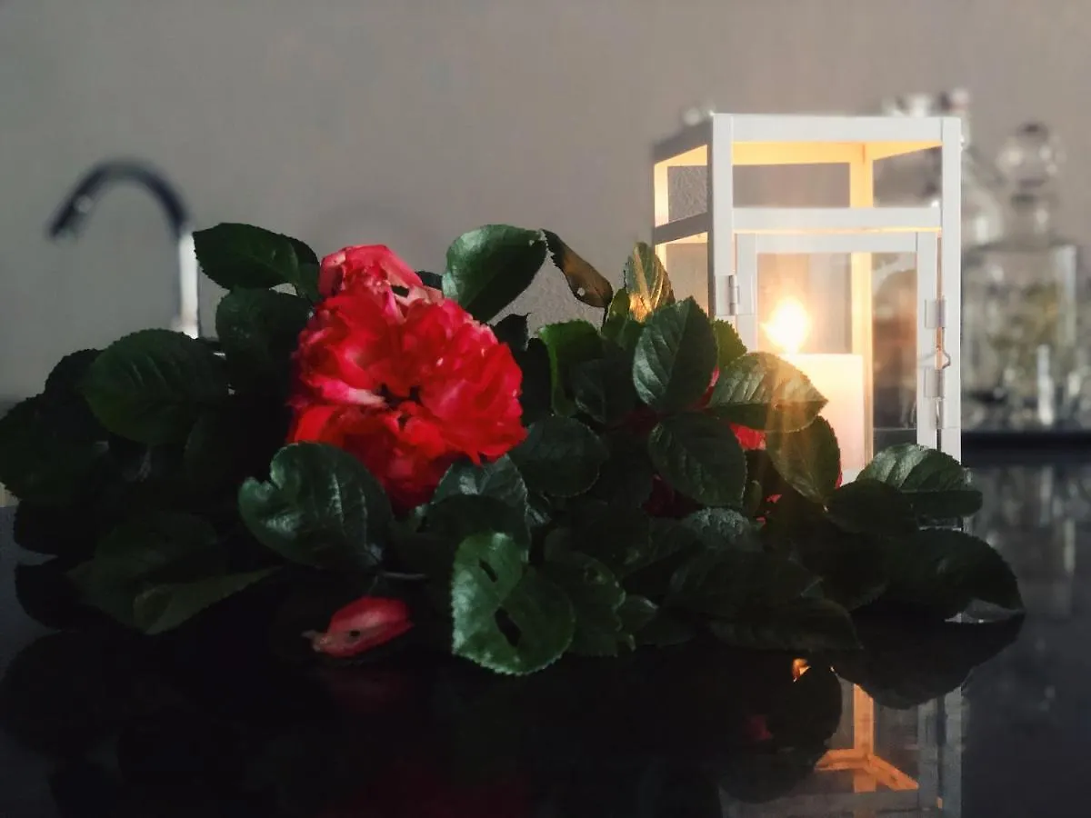 House Anica Villa Ledenice