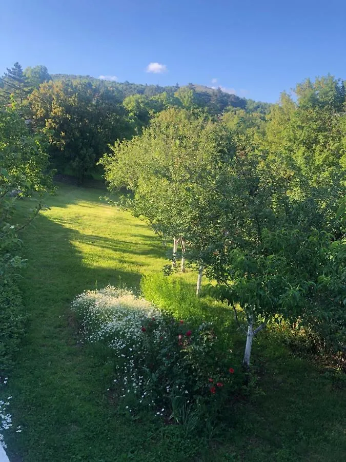 House Anica Villa Ledenice
