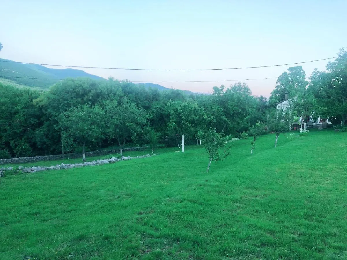 House Anica Villa Ledenice Croatia